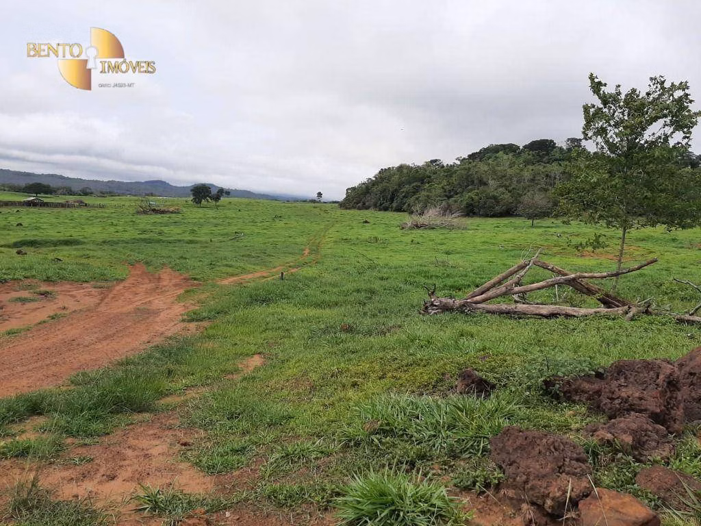 Fazenda de 907 ha em Guarantã do Norte, MT
