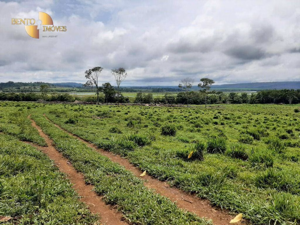 Fazenda de 907 ha em Guarantã do Norte, MT
