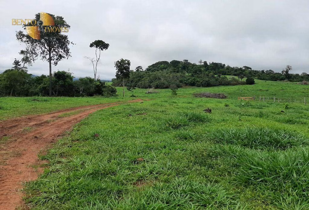 Fazenda de 907 ha em Guarantã do Norte, MT
