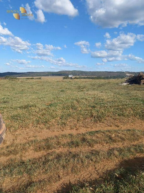 Fazenda de 907 ha em Guarantã do Norte, MT