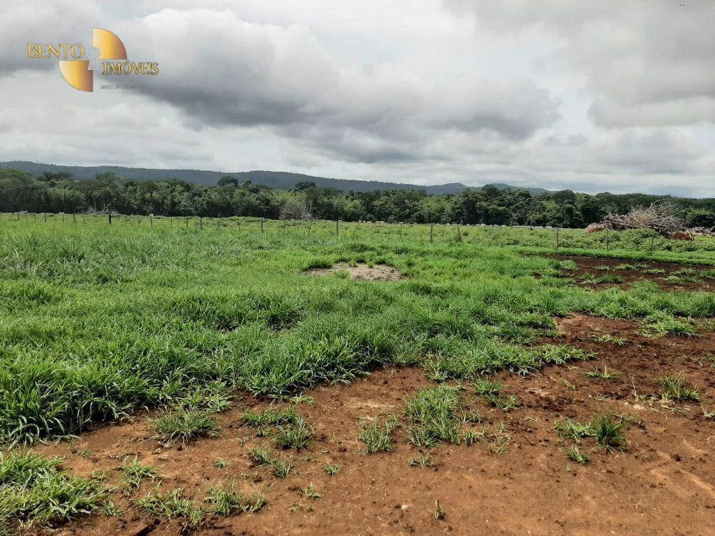 Fazenda de 907 ha em Guarantã do Norte, MT
