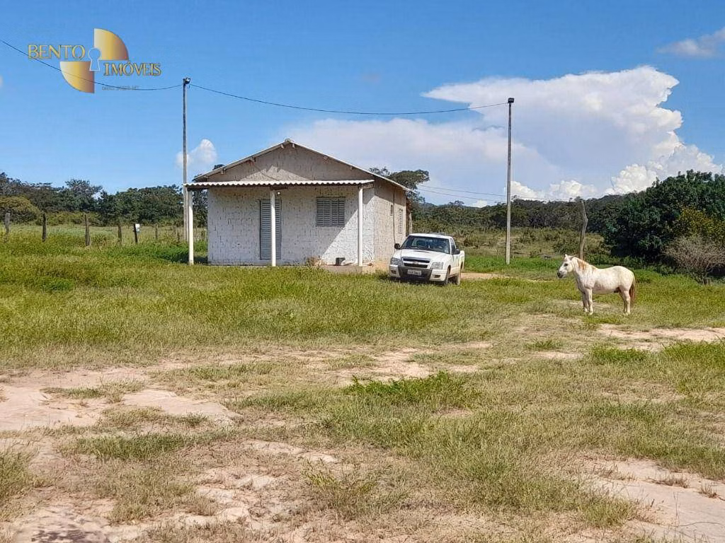 Fazenda de 680 ha em Rondonópolis, MT