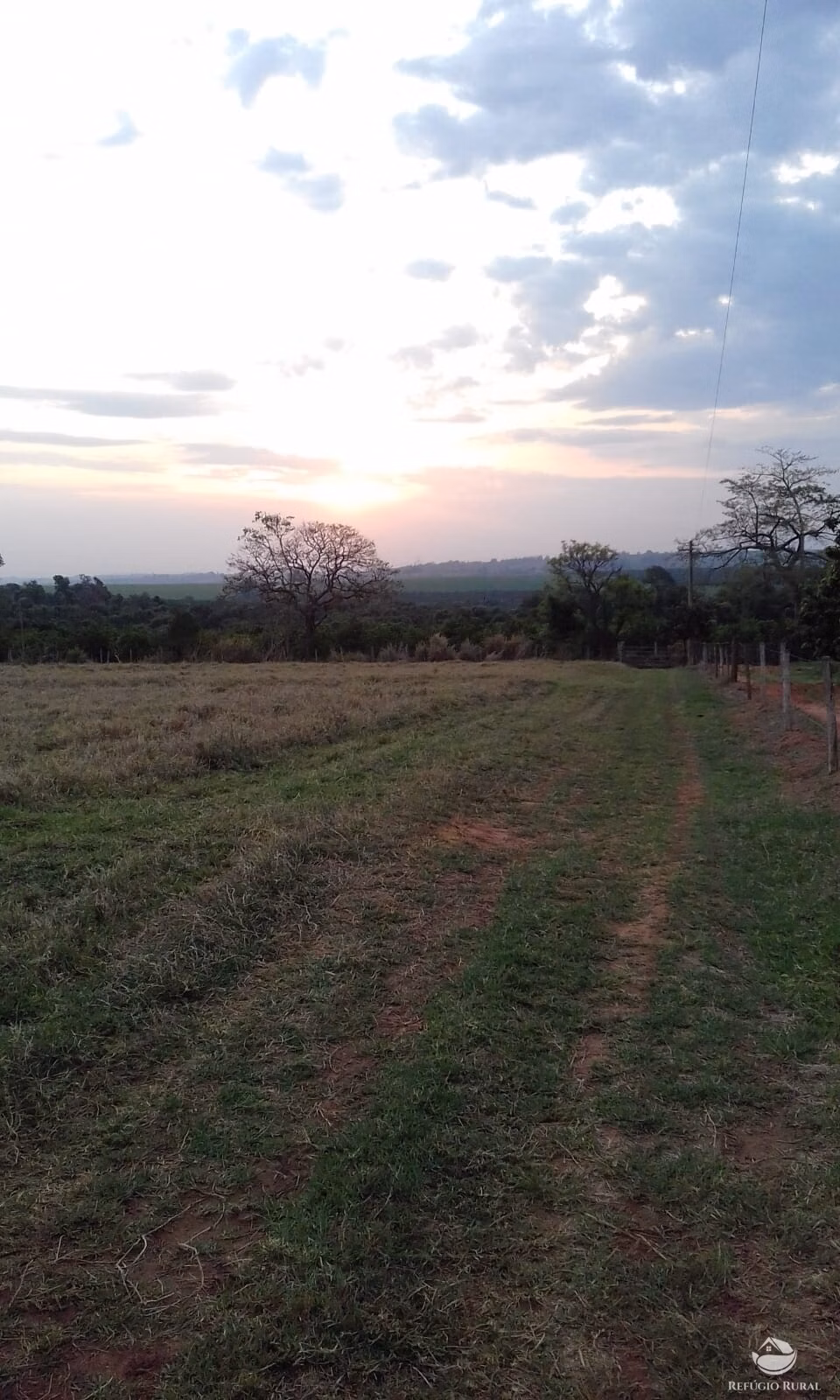 Chácara de 3 ha em Mogi Mirim, SP