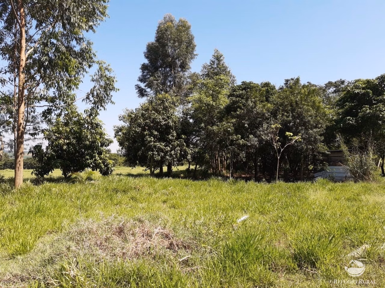 Chácara de 3 ha em Mogi Mirim, SP