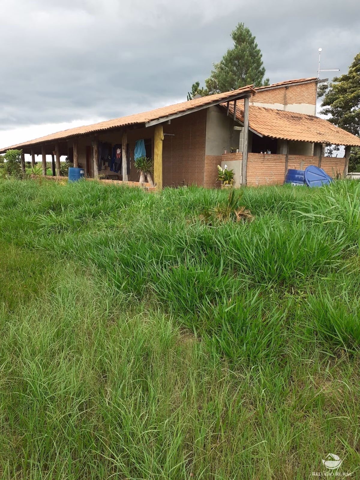 Chácara de 3 ha em Mogi Mirim, SP