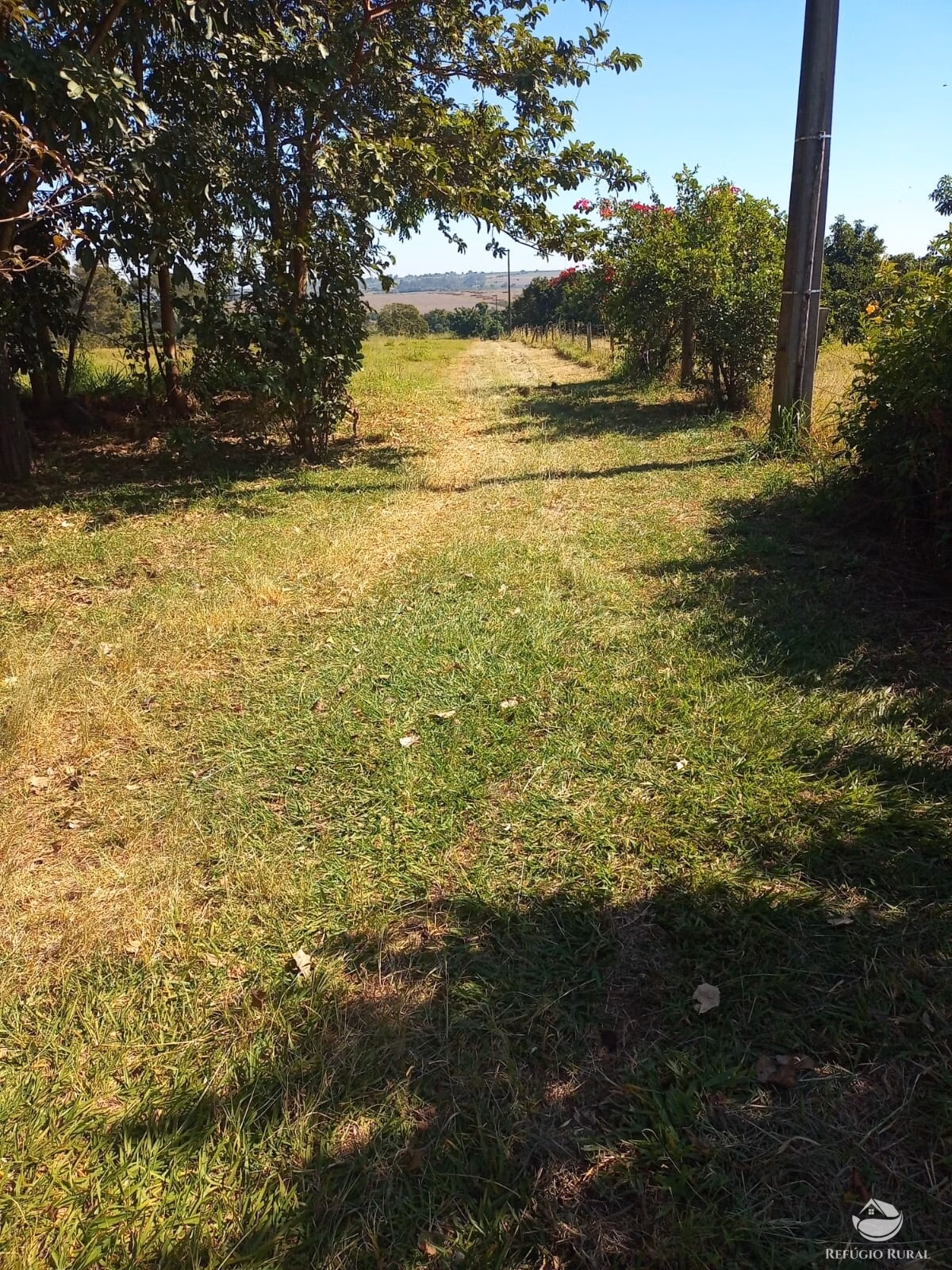 Chácara de 3 ha em Mogi Mirim, SP