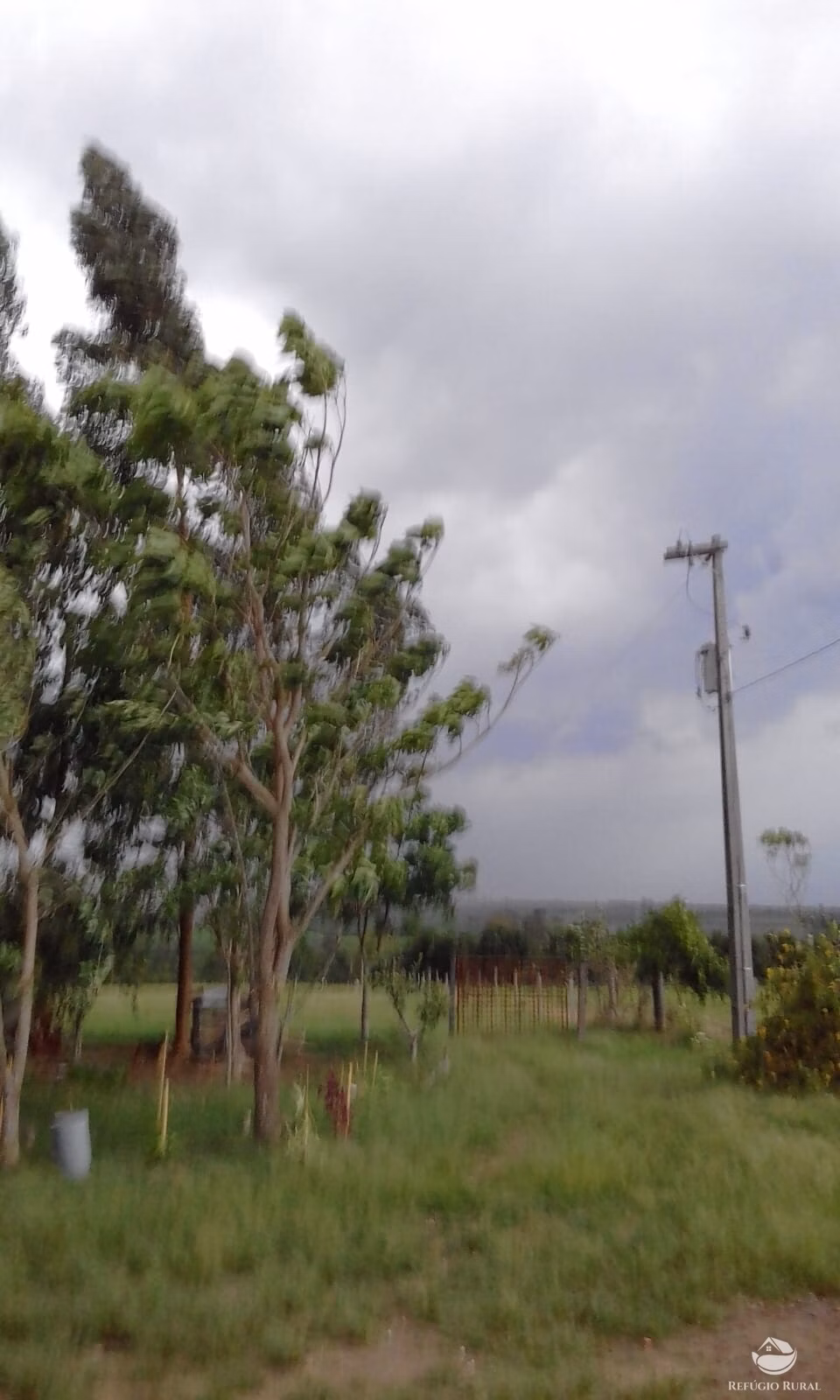 Chácara de 3 ha em Mogi Mirim, SP