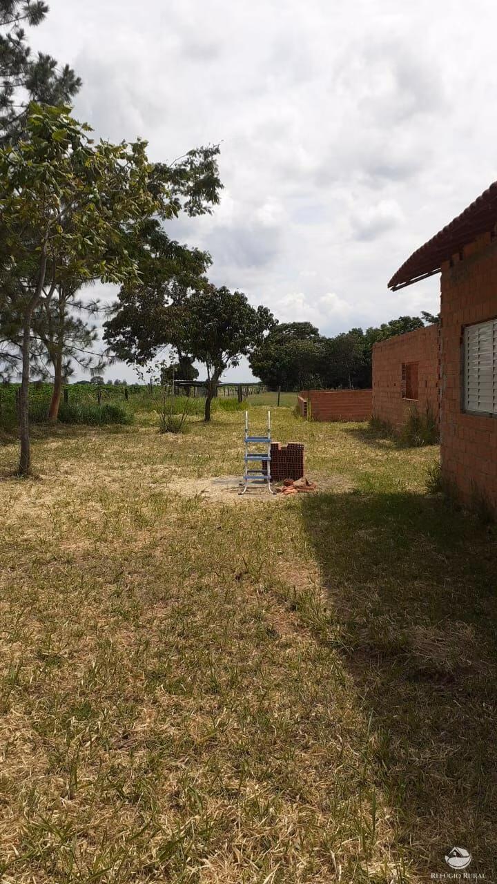 Chácara de 3 ha em Mogi Mirim, SP