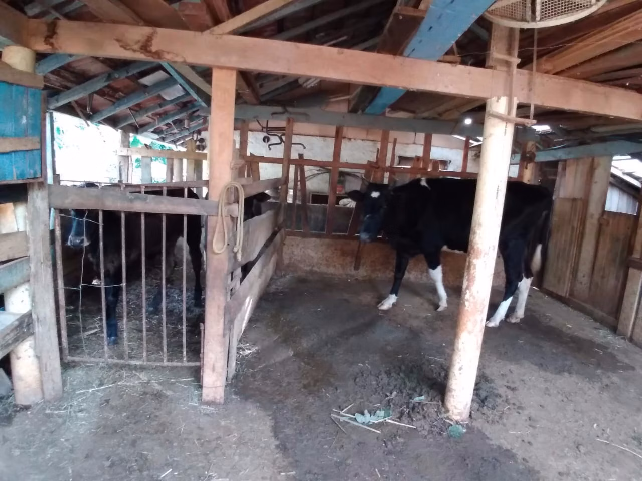 Small farm of 9 acres in Taubaté, SP, Brazil