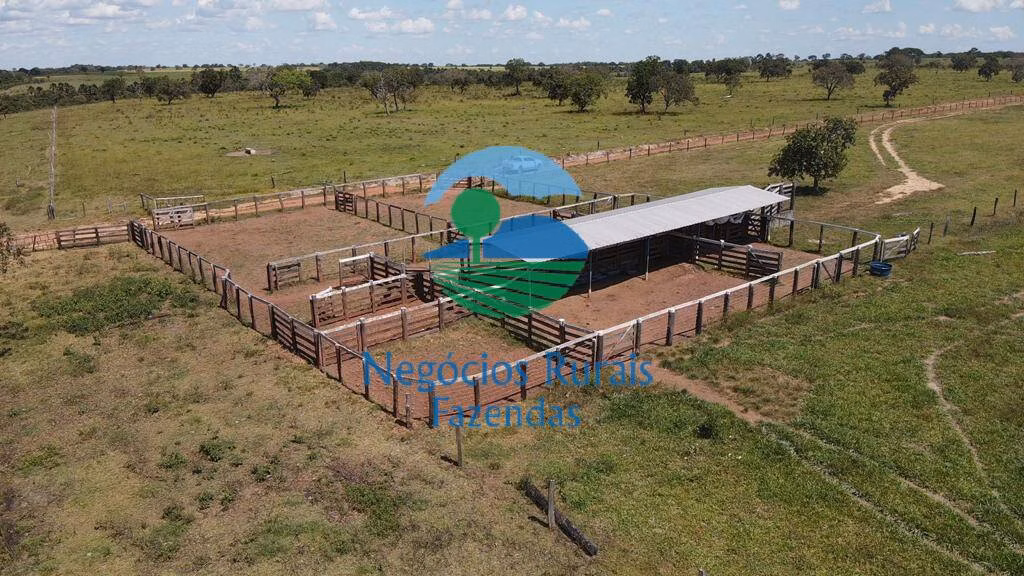 Fazenda de 961 ha em Paraíso do Tocantins, TO