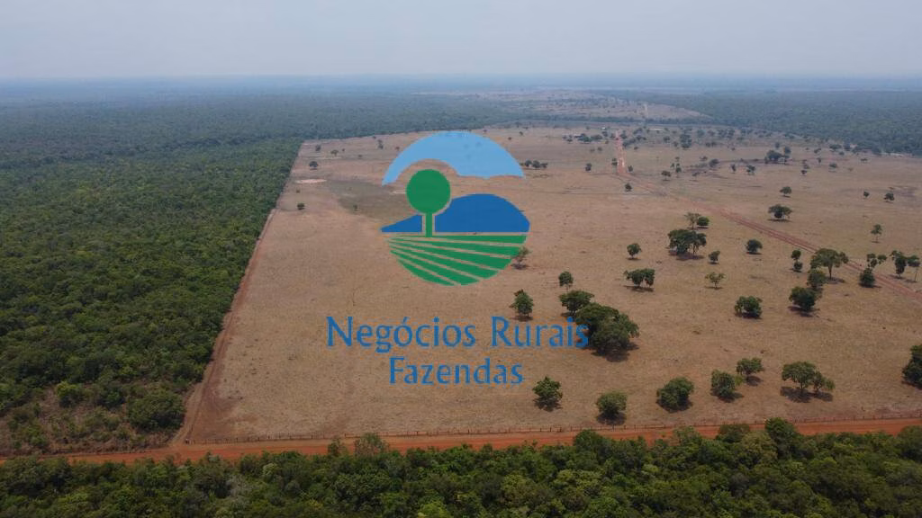 Fazenda de 961 ha em Paraíso do Tocantins, TO