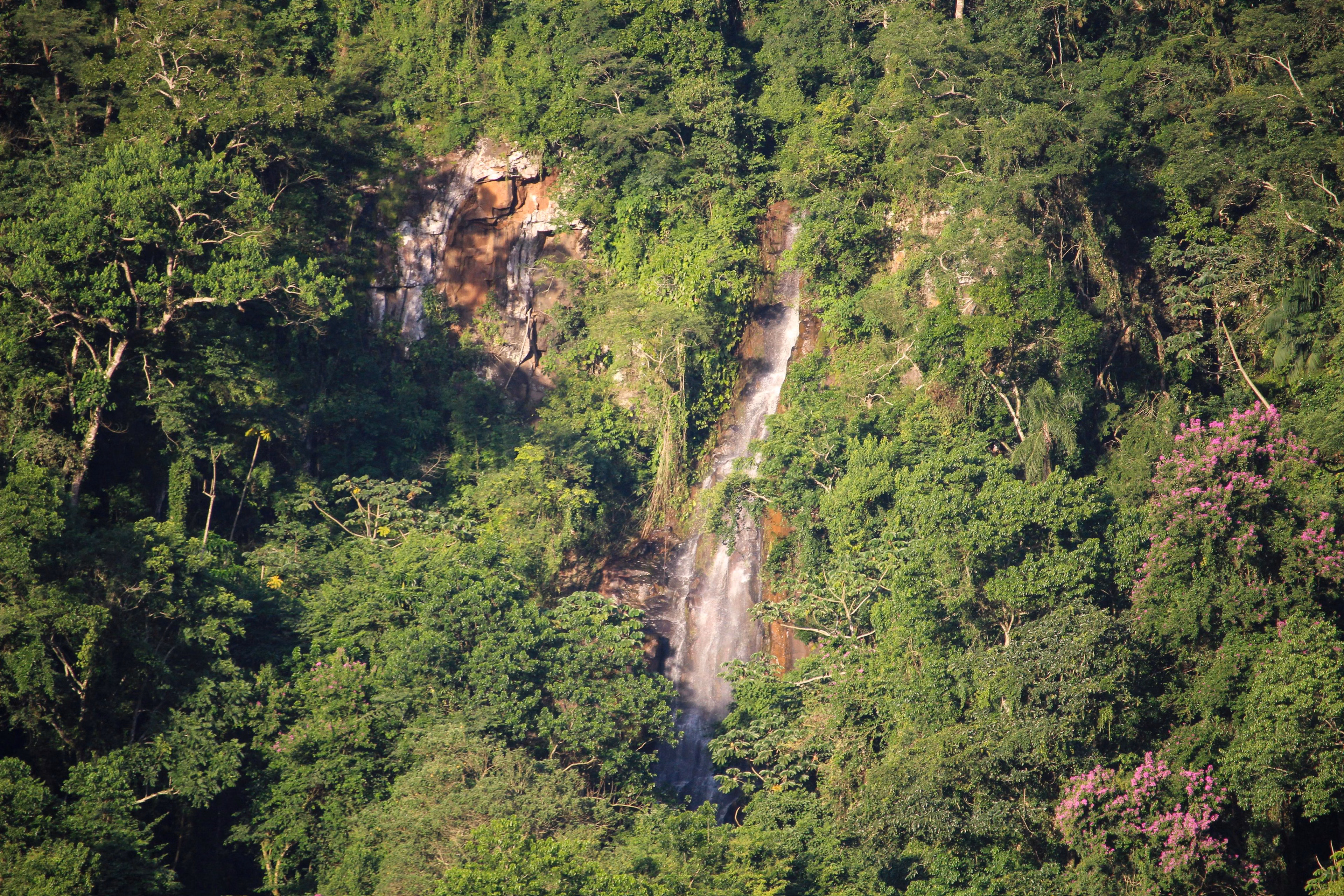 Plot of 7 acres in Pardinho, SP, Brazil