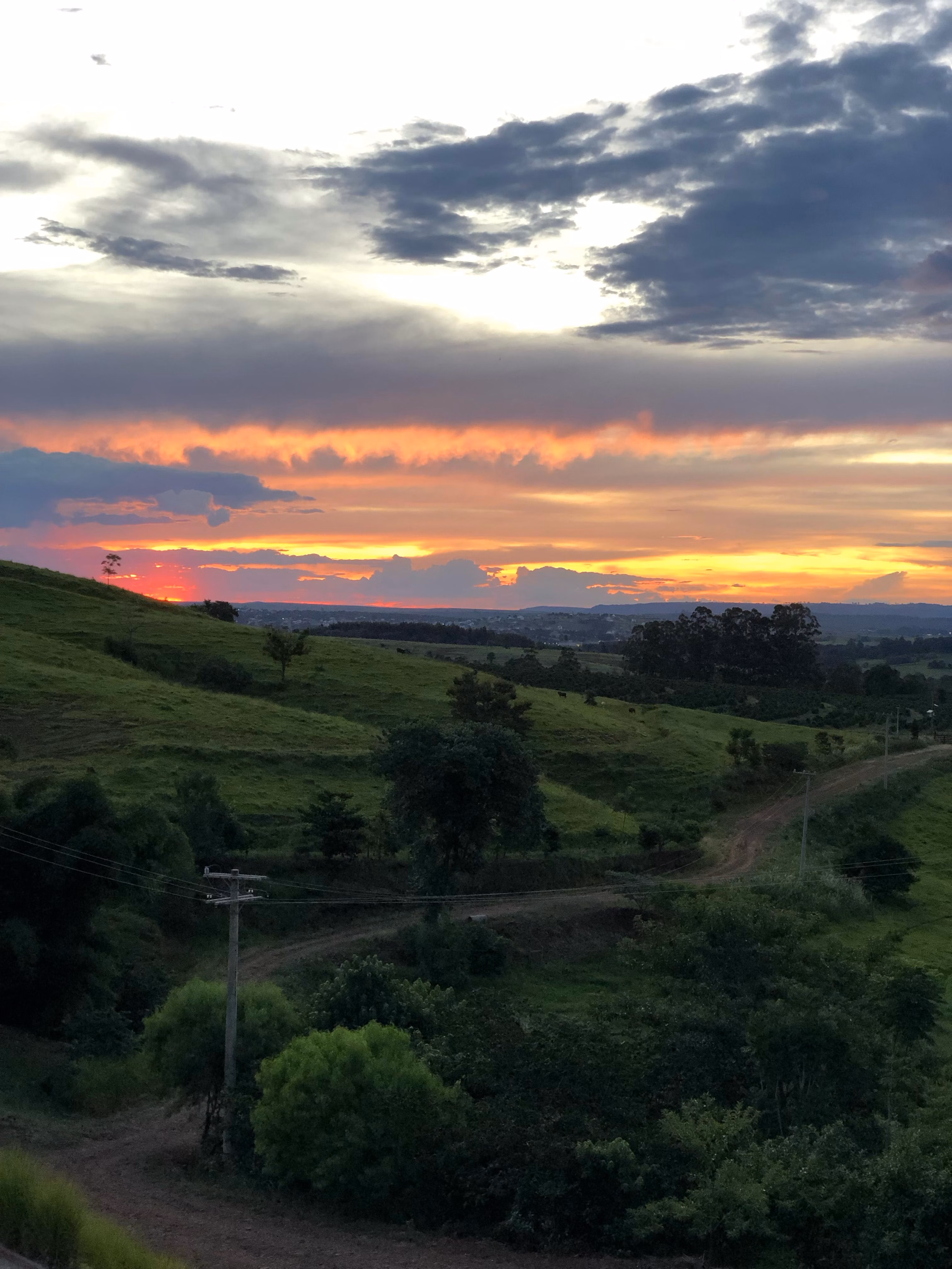 Plot of 7 acres in Pardinho, SP, Brazil
