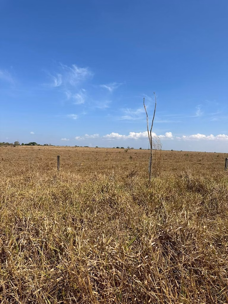 Fazenda de 1.950 ha em Diamantino, MT