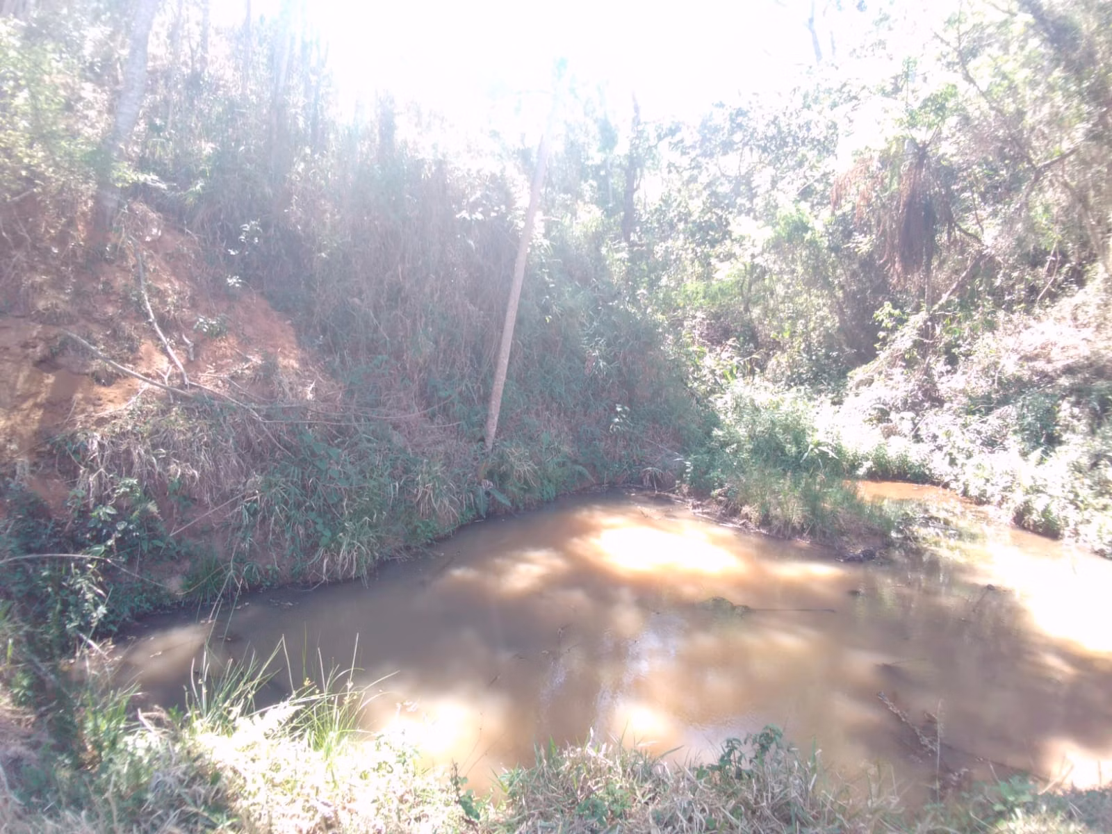 Farm of 389 acres in Cunha, SP, Brazil