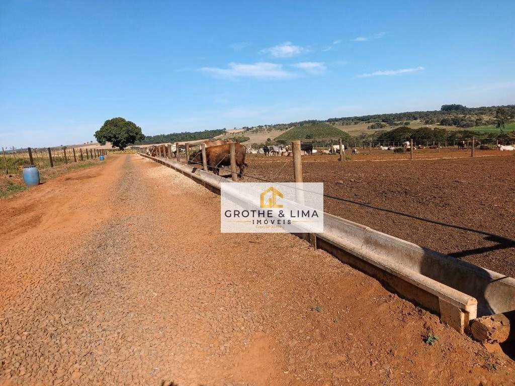 Farm of 227 acres in Avaré, SP, Brazil