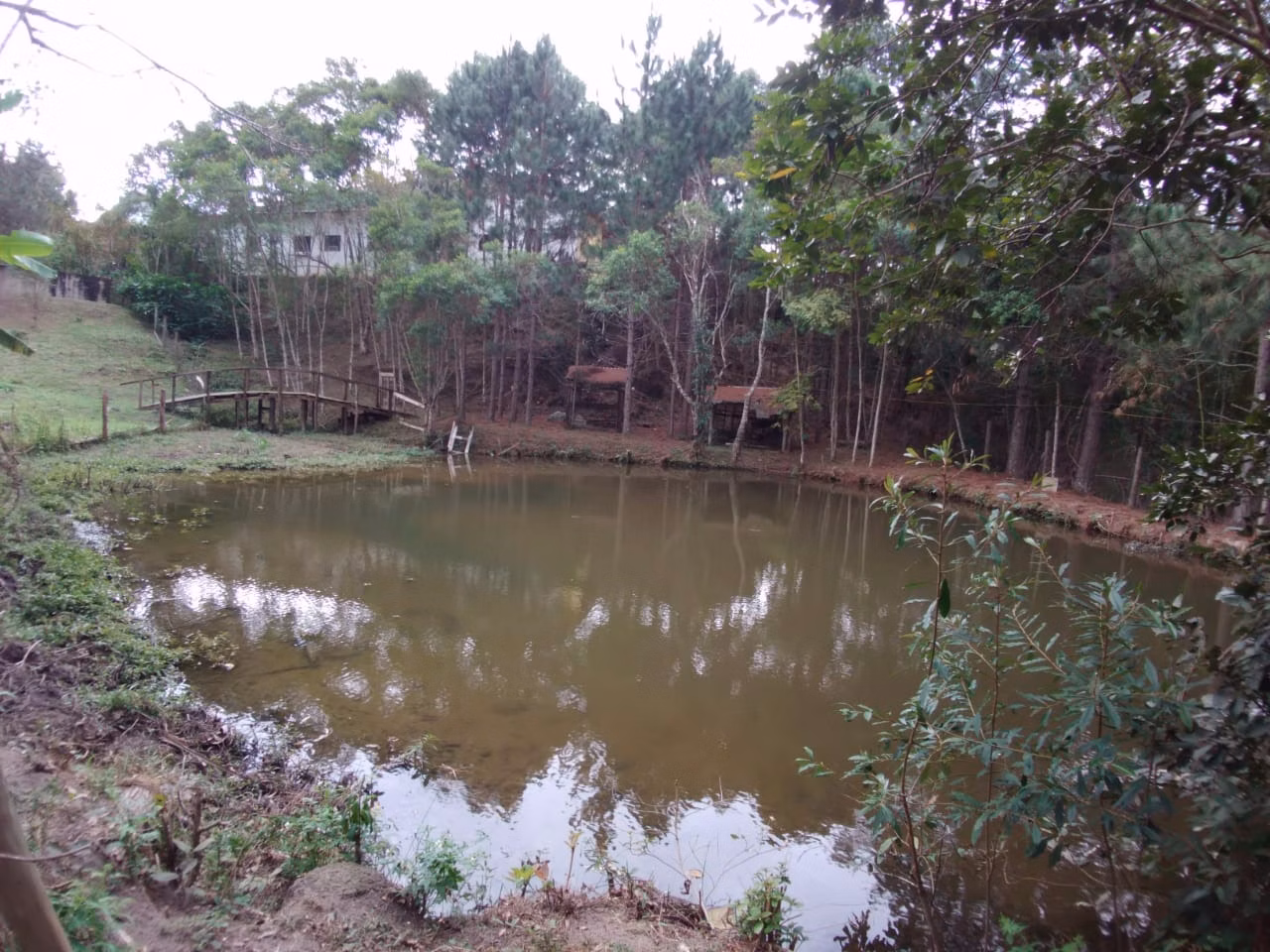 Chácara de 3 ha em Natividade da Serra, SP