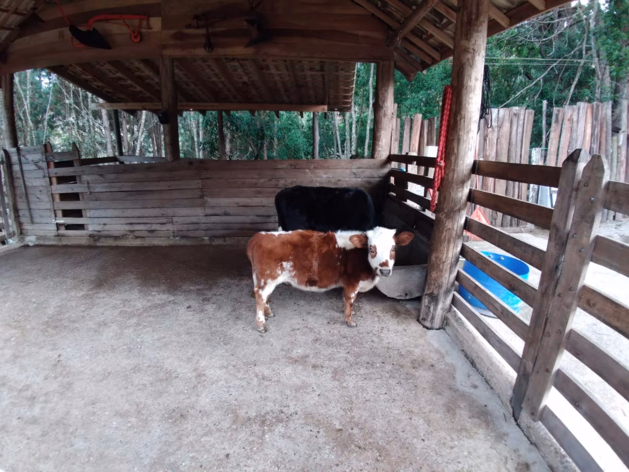Chácara de 3 ha em Natividade da Serra, SP
