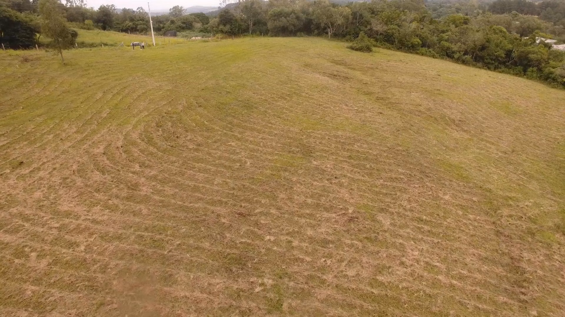 Chácara de 8 ha em Taquara, RS