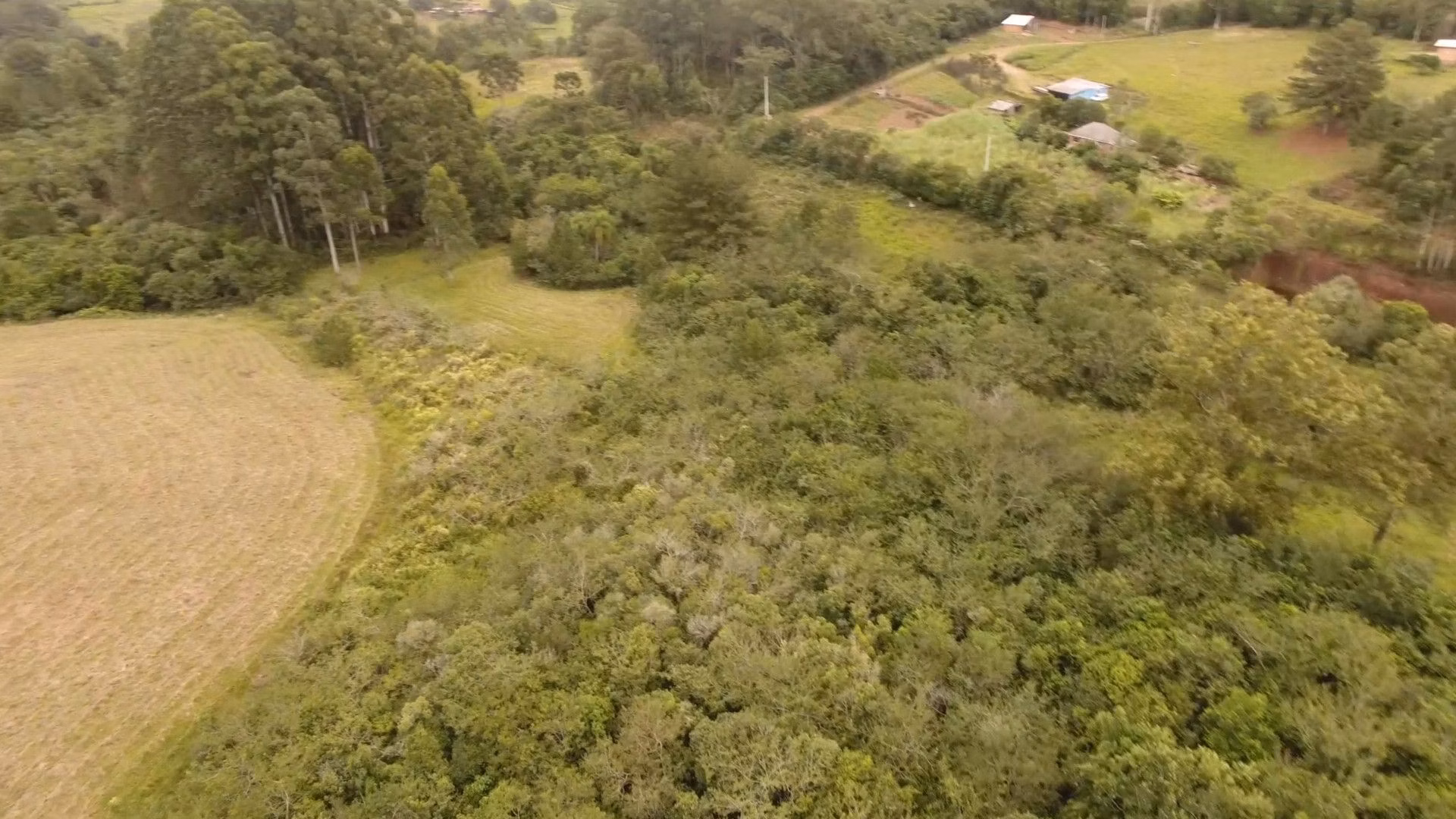 Chácara de 8 ha em Taquara, RS