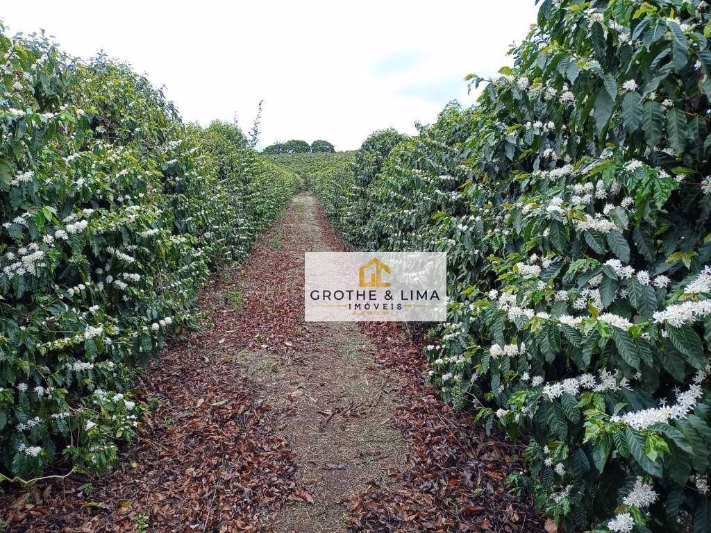 Farm of 1.608 acres in Itapetininga, SP, Brazil