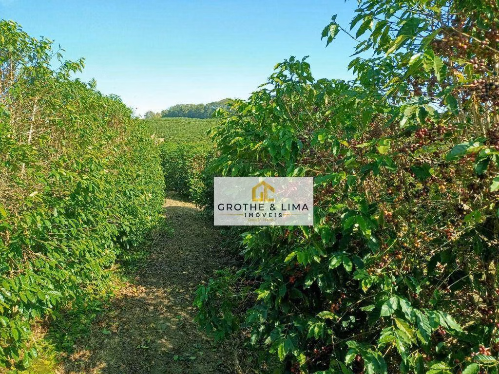 Farm of 1.608 acres in Itapetininga, SP, Brazil