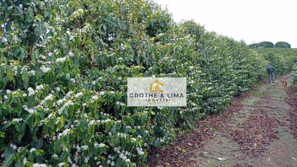 Farm of 1.608 acres in Itapetininga, SP, Brazil