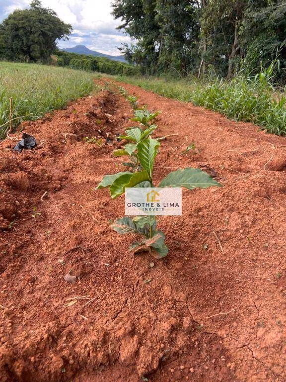 Farm of 1.608 acres in Itapetininga, SP, Brazil