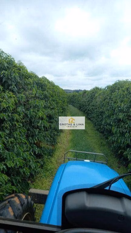 Farm of 1.608 acres in Itapetininga, SP, Brazil