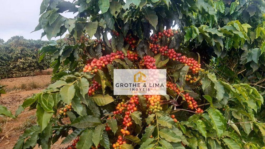 Farm of 1.608 acres in Itapetininga, SP, Brazil