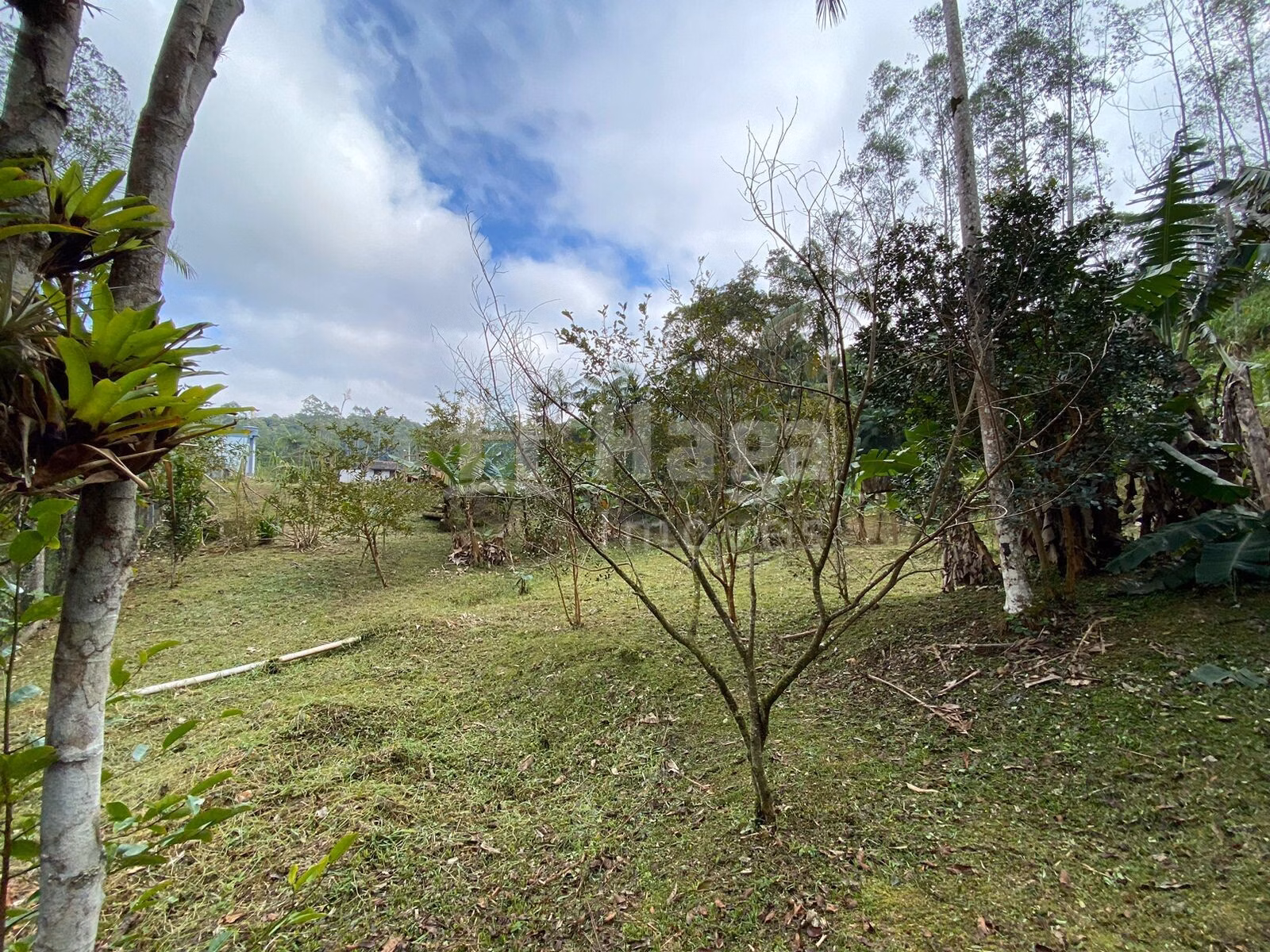 Fazenda de 9.110 m² em Guabiruba, SC