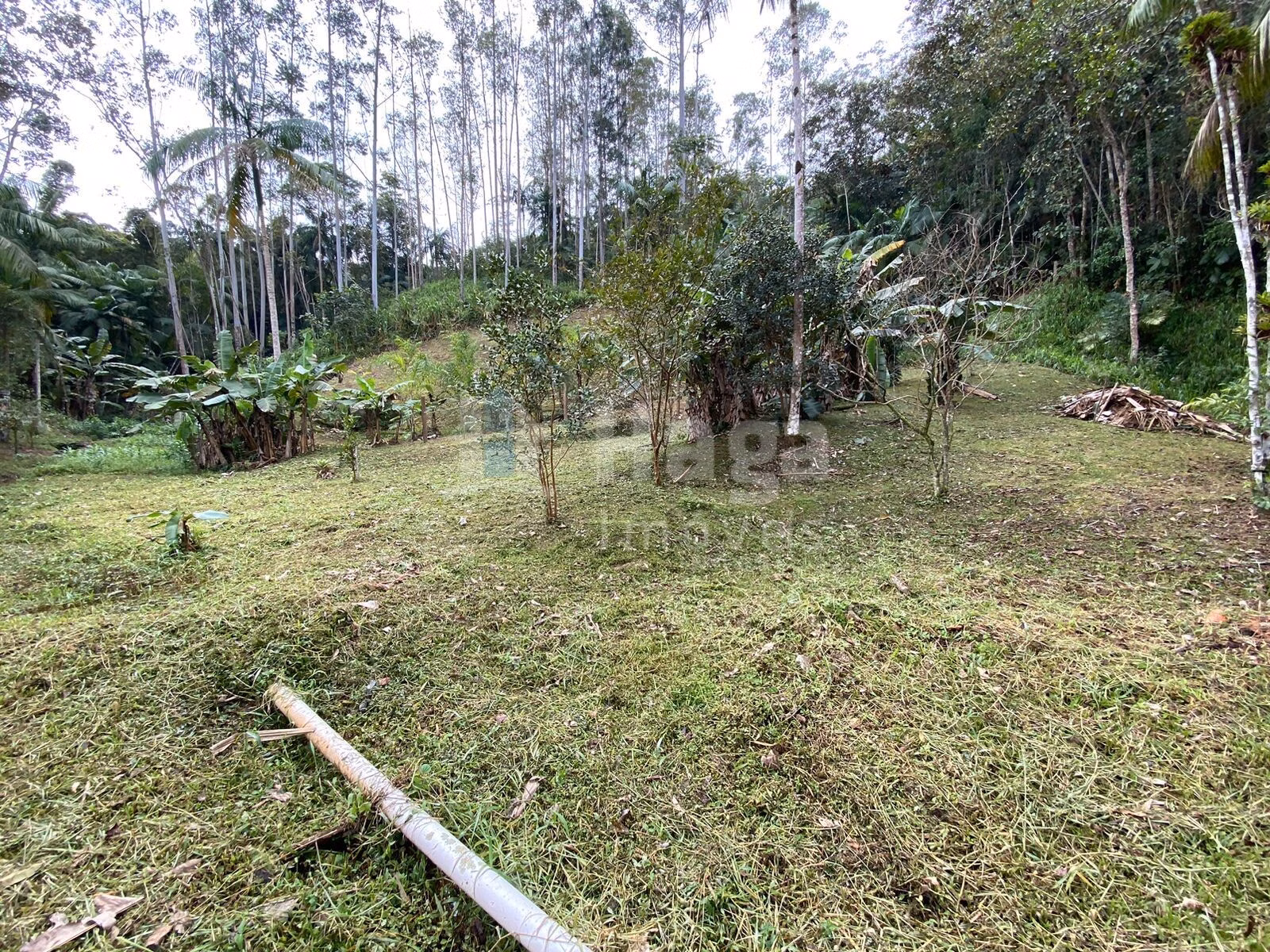 Fazenda de 9.110 m² em Guabiruba, SC