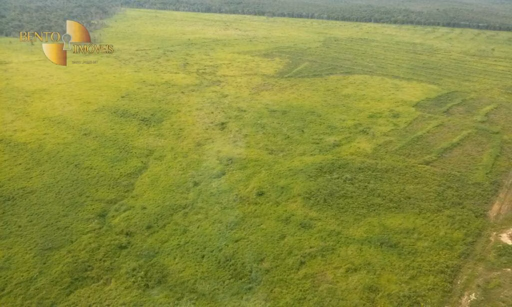 Fazenda de 36.771 ha em Peixoto de Azevedo, MT