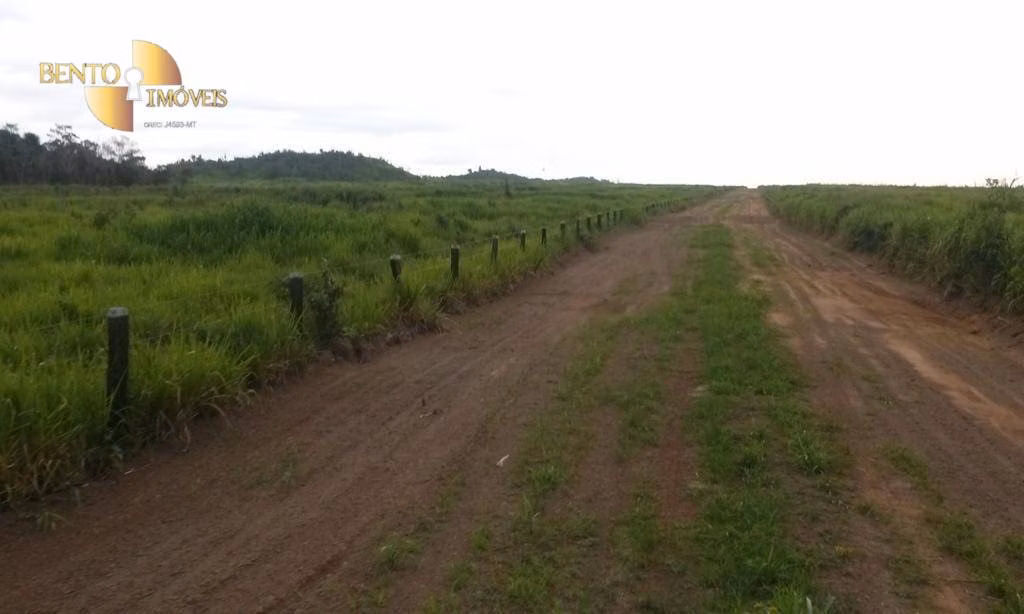 Fazenda de 36.771 ha em Peixoto de Azevedo, MT