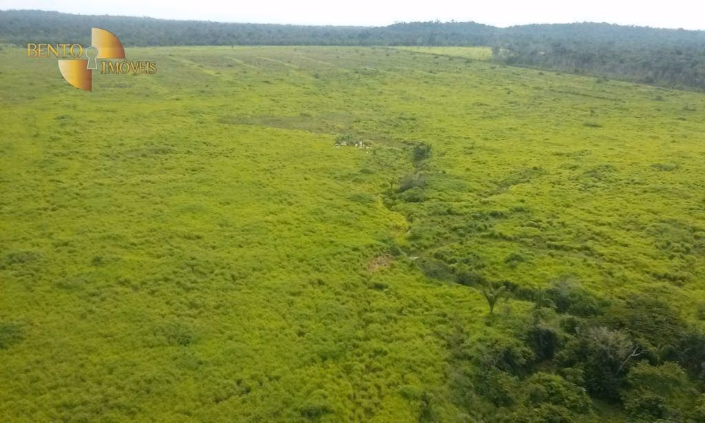 Fazenda de 36.771 ha em Peixoto de Azevedo, MT