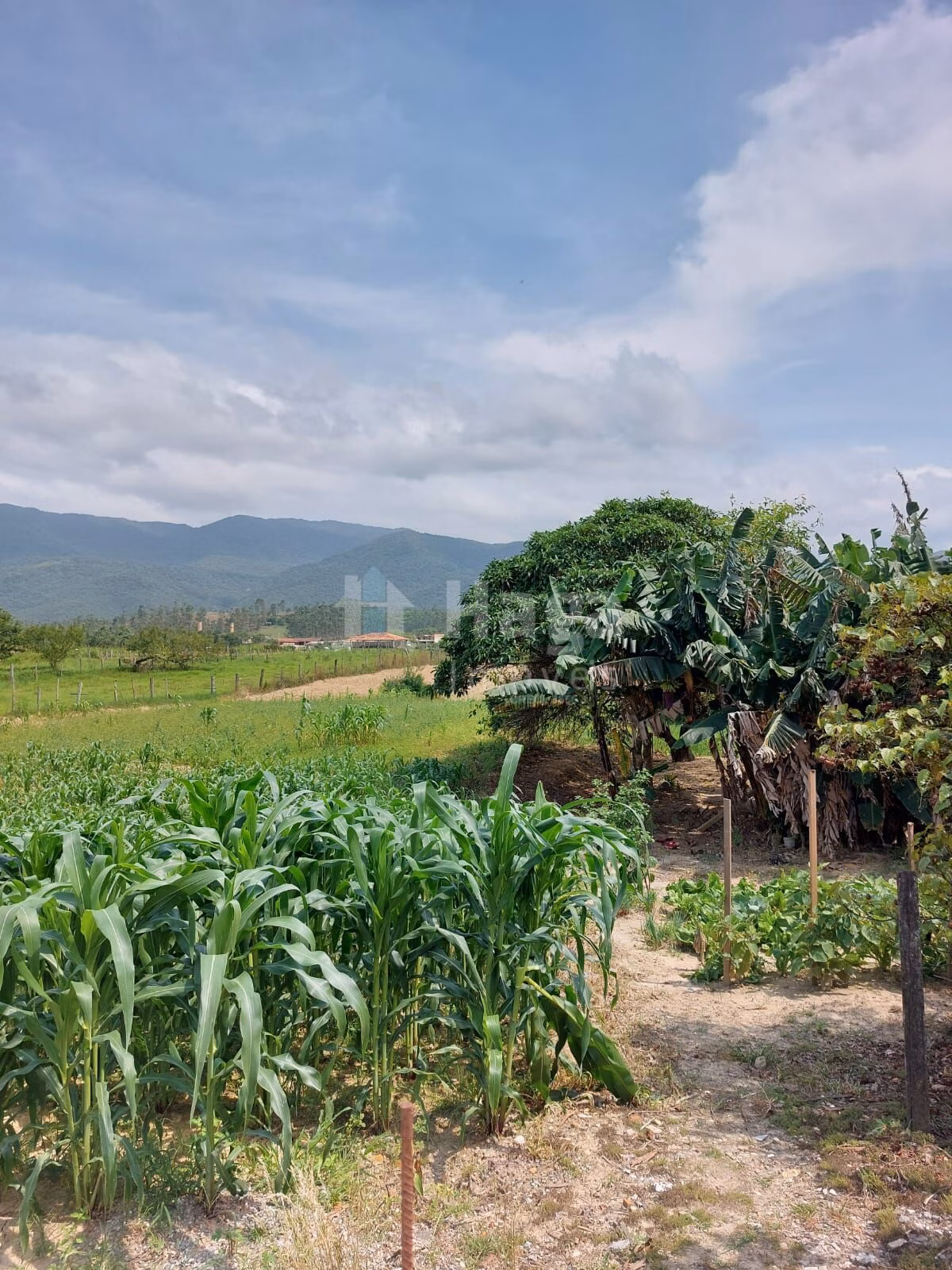 Farm of 6 acres in Canelinha, SC, Brazil