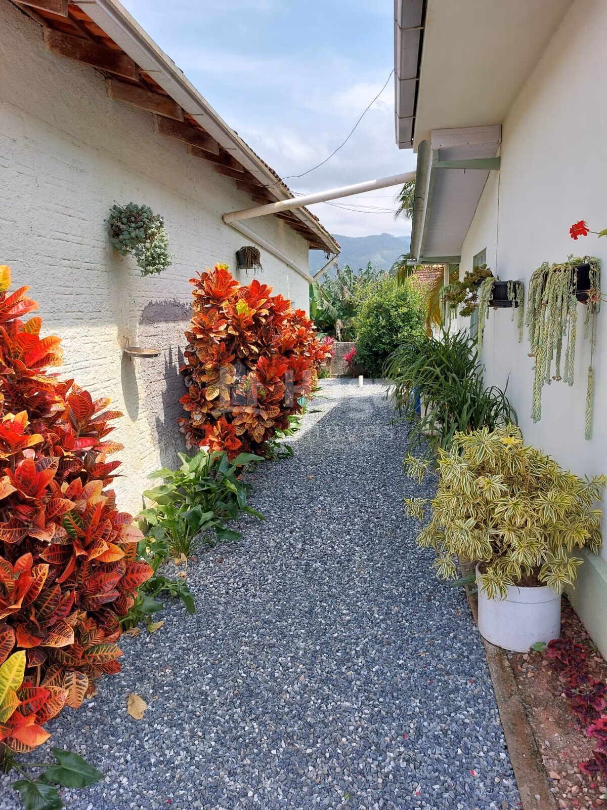 Farm of 6 acres in Canelinha, SC, Brazil