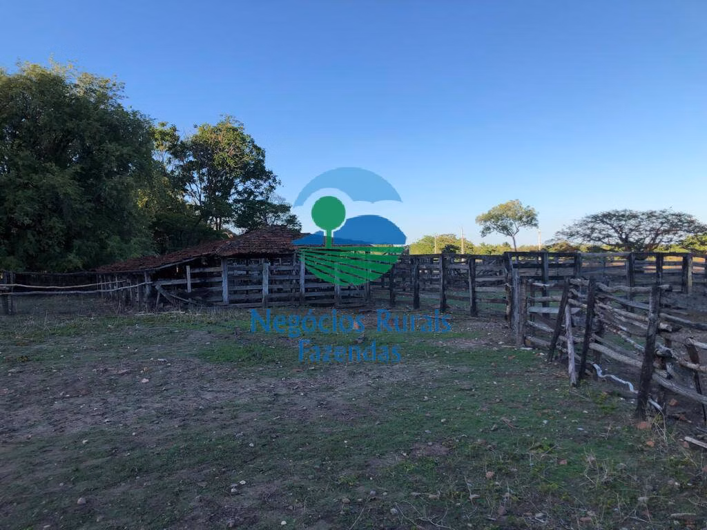 Fazenda de 3.338 ha em Paranã, TO