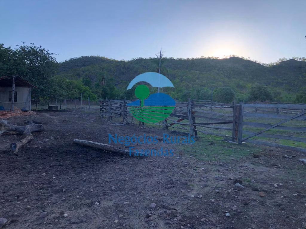 Fazenda de 3.338 ha em Paranã, TO