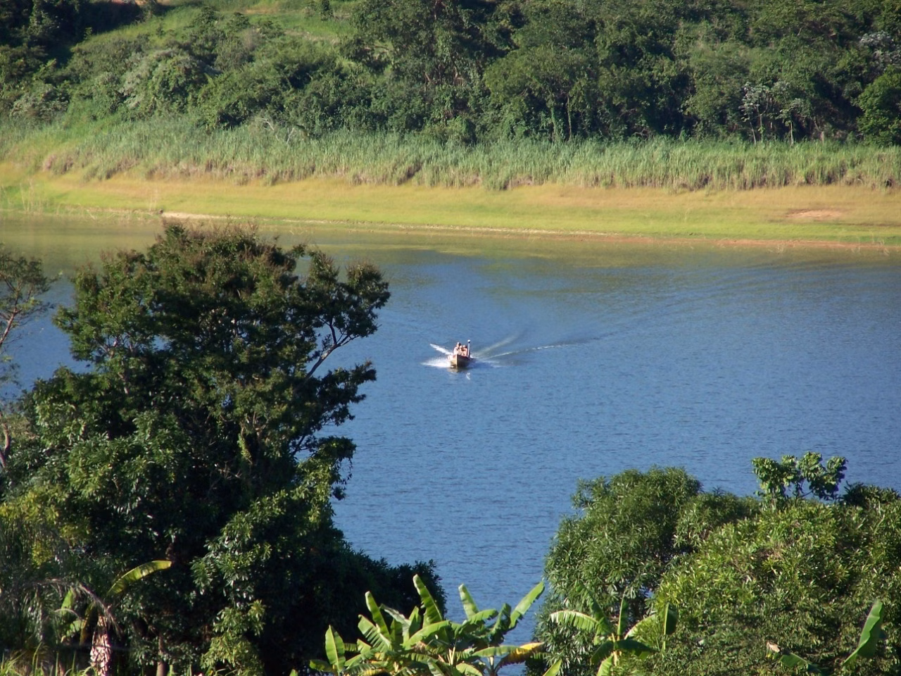 Sítio de 10 ha em Boa Esperança, MG