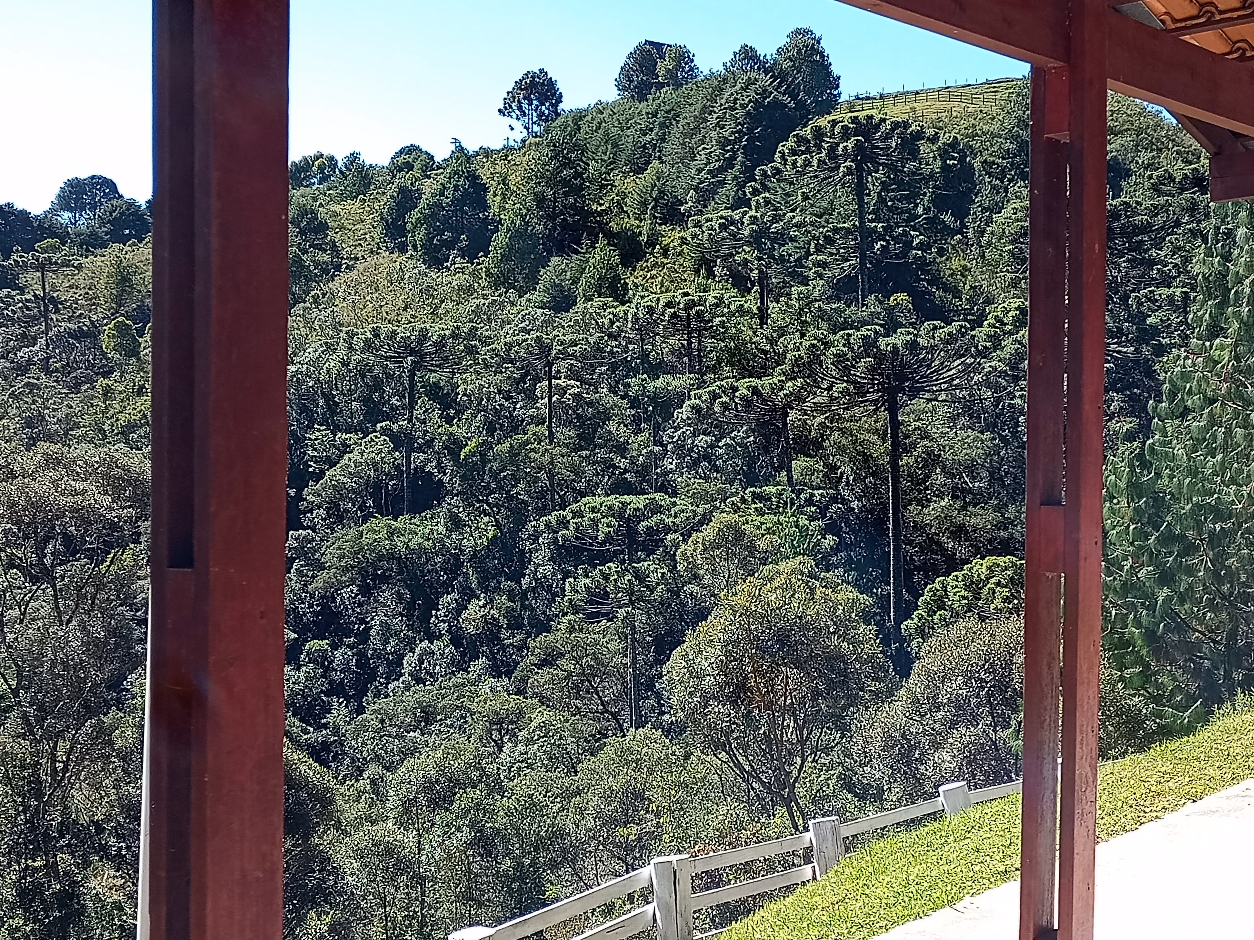 Chácara de 3.243 m² em Campos do Jordão, SP