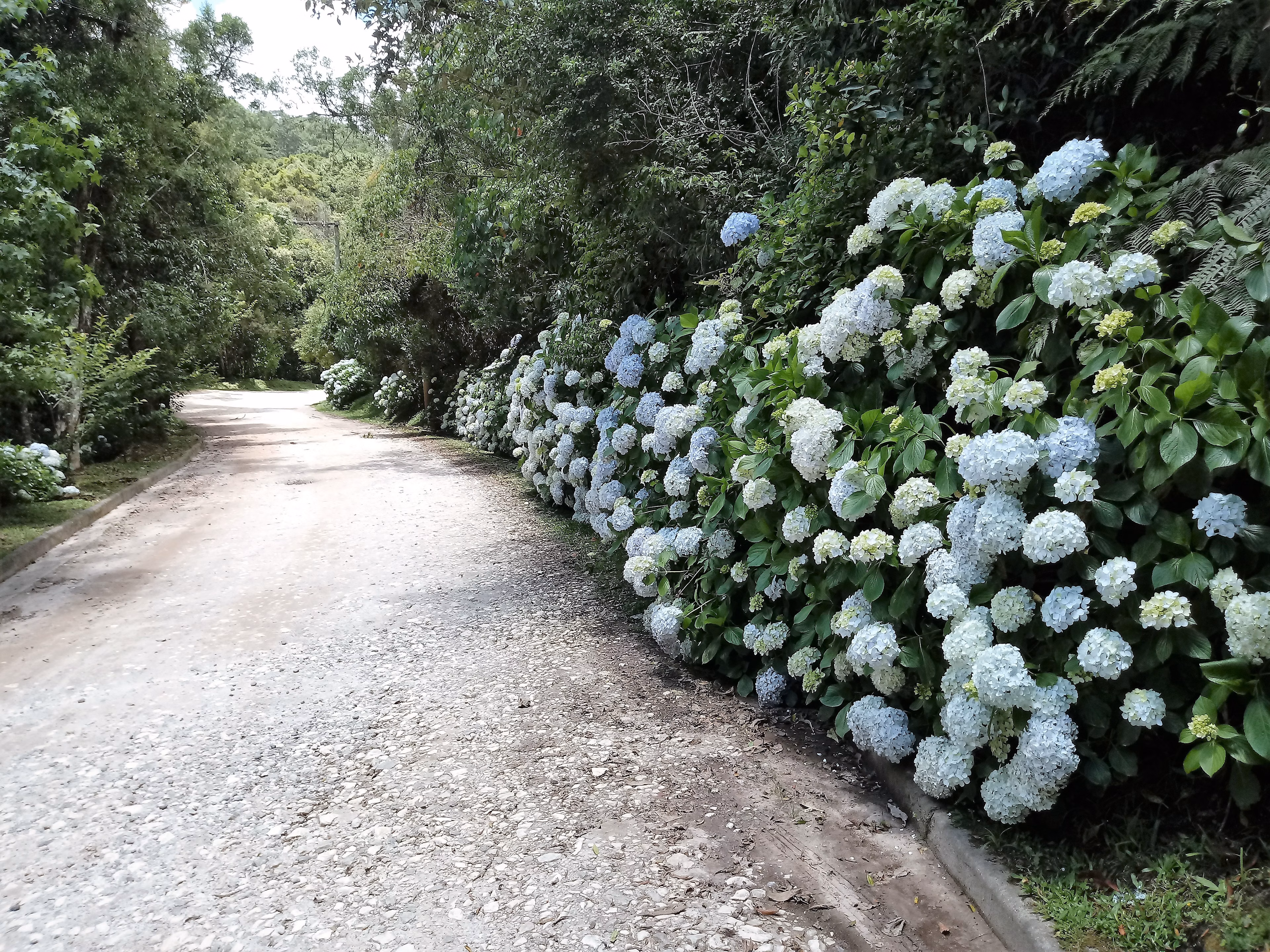 Chácara de 3.243 m² em Campos do Jordão, SP