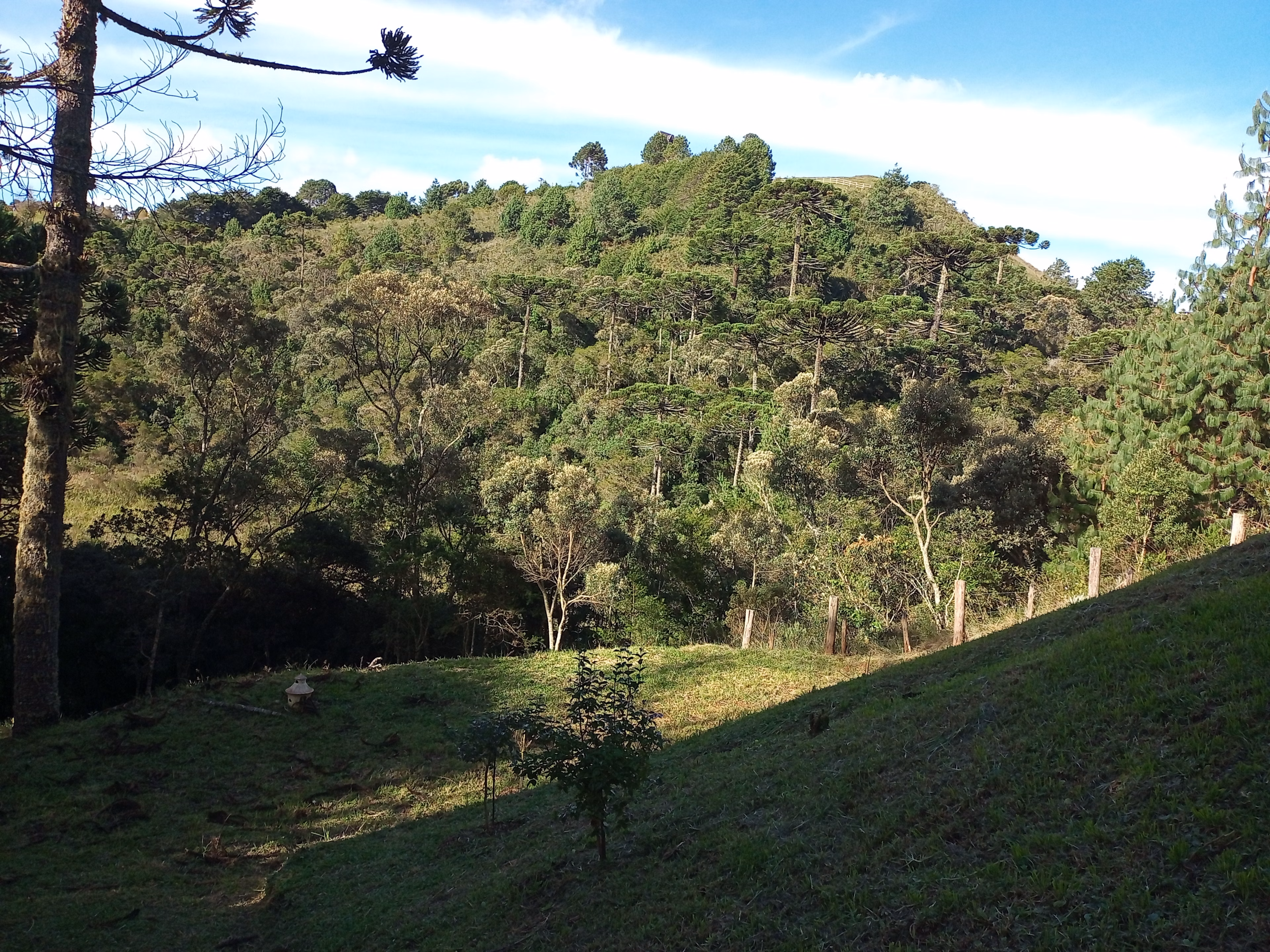 Chácara de 3.243 m² em Campos do Jordão, SP