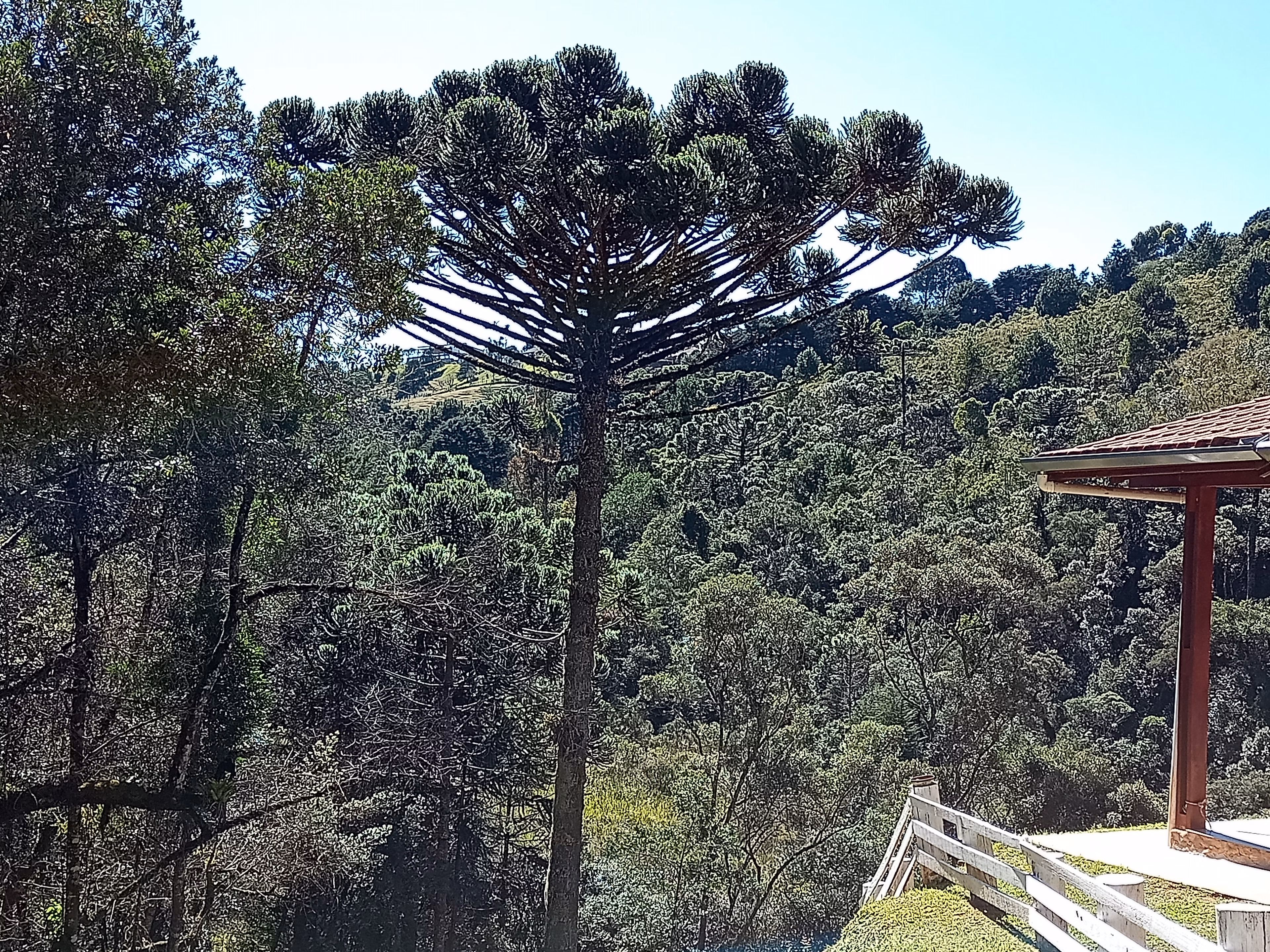 Chácara de 3.243 m² em Campos do Jordão, SP