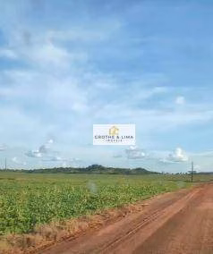 Farm of 11.960 acres in Goiatins, TO, Brazil