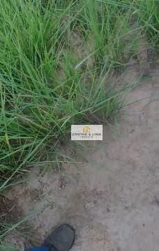 Farm of 11.960 acres in Goiatins, TO, Brazil