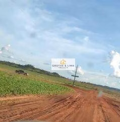 Farm of 11.960 acres in Goiatins, TO, Brazil