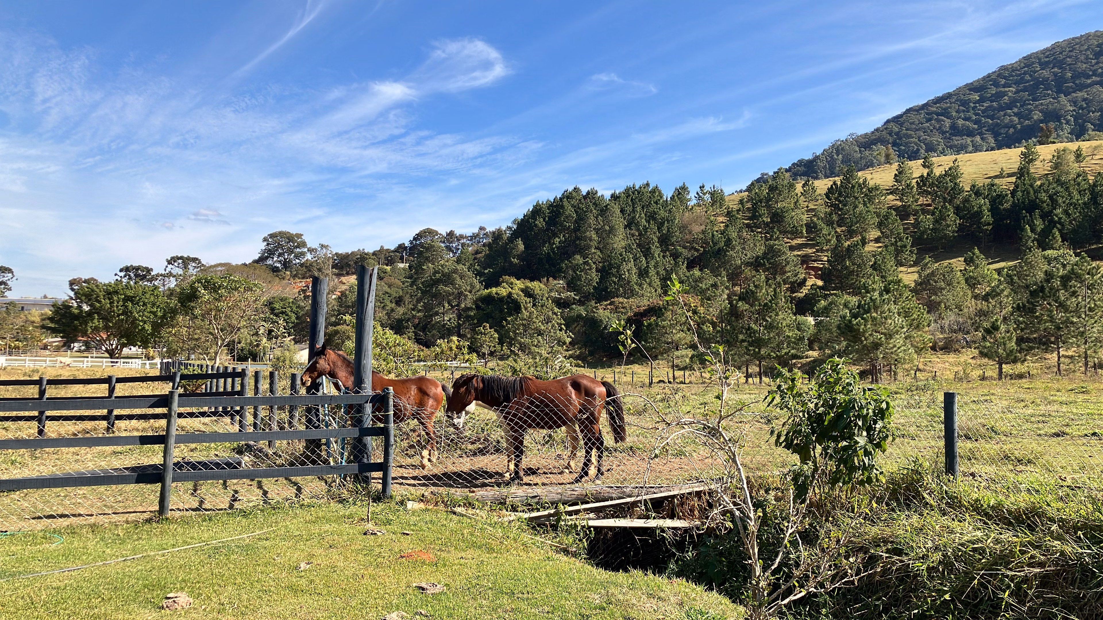 Sítio à venda e para arrendar de 3 ha em Joanópolis, SP
