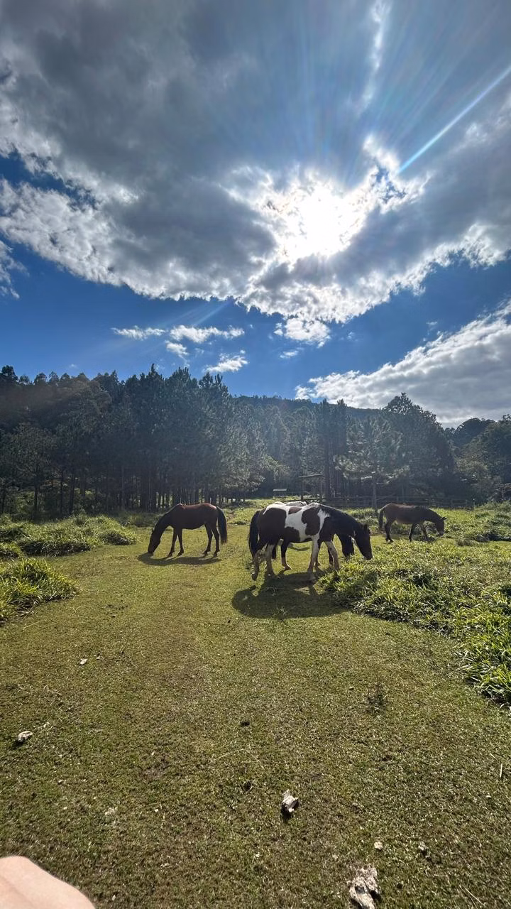Sítio à venda e para arrendar de 3 ha em Joanópolis, SP