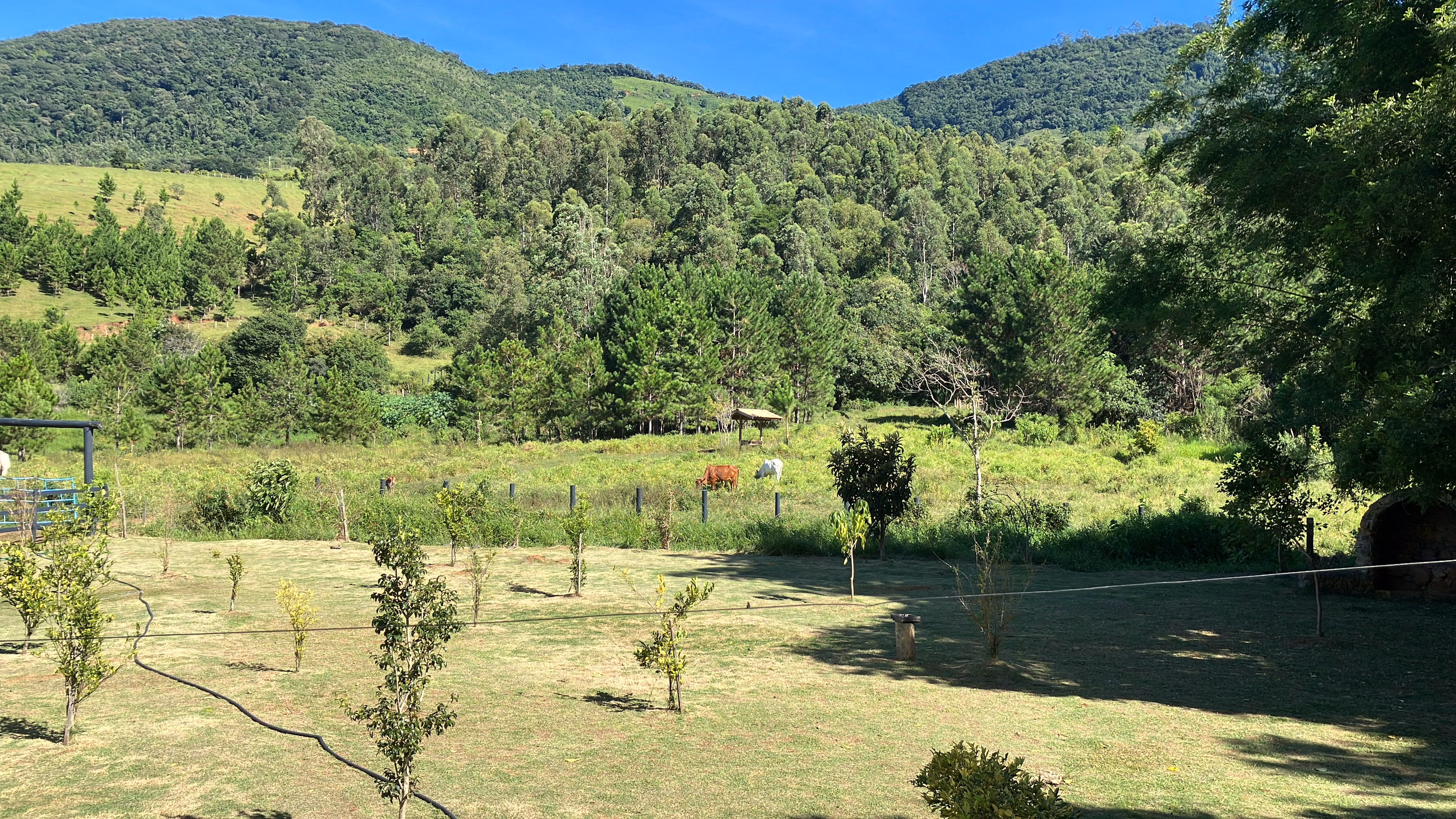 Sítio à venda e para arrendar de 3 ha em Joanópolis, SP